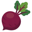 Beetroot