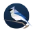 BirdNET Live