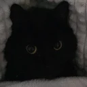 discordwebhooktest