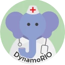 DynamoRIO