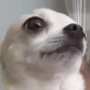 ffzap