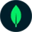 MongoDB Compass Isolated Edition