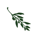 Olive Video Editor