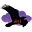 Raven Pro