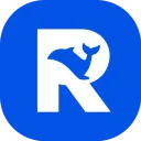 Reasonix