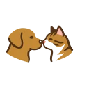 SeeBoop